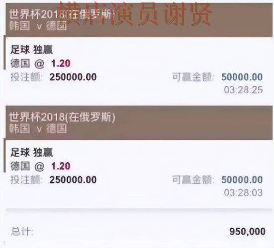 世界杯投注入口平台排行怎么选？汇总给你答案（世界杯全球总决赛）
